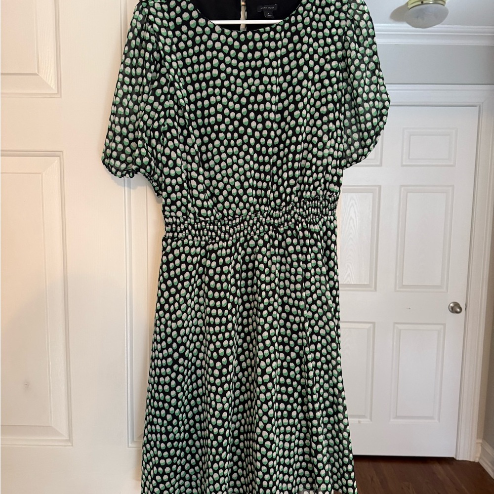 Ann Taylor Black Midi Dress with Mint Green Dot Print